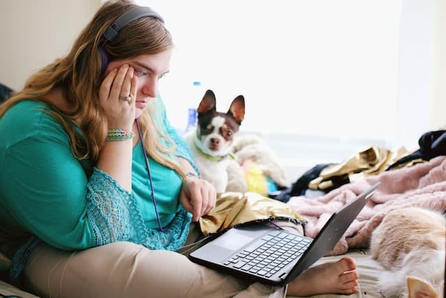 A focused woman with headphones using a laptop on a bed, with a curious Boston Terrier dog looking on, amidst a setting with cozy blankets and pillows.